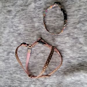 Small dog harness and collar.